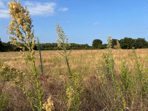 Superbe terrain viabilisé, vue montagnes