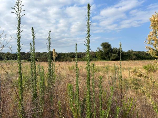 Superbe terrain viabilisé, vue montagnes