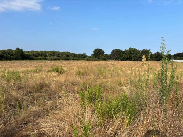 Superbe terrain viabilisé, vue montagnes