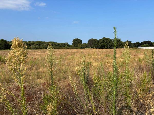 Superbe terrain viabilisé, vue montagnes