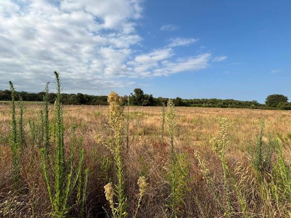 Superbe terrain viabilisé, vue montagnes