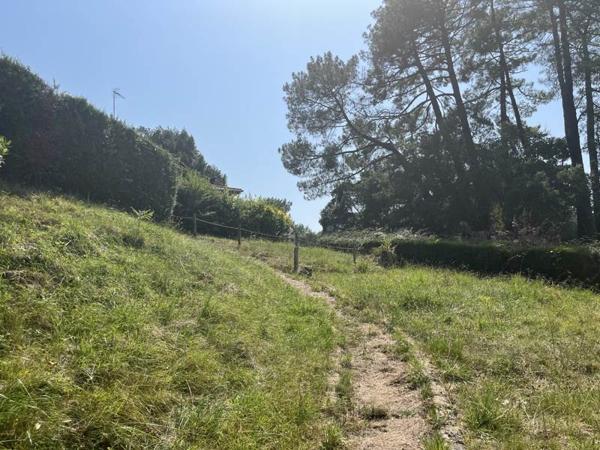 Terrain à vendre |  Tarnos |  426 m²