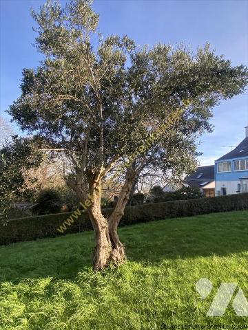 A 500 M de la PLAGE - VUE SUR MER
