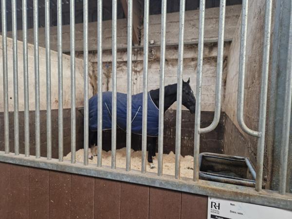 Maison à LA CHAPELLE-SUR-ERDRE, 44240 - 3 pièces 620m²