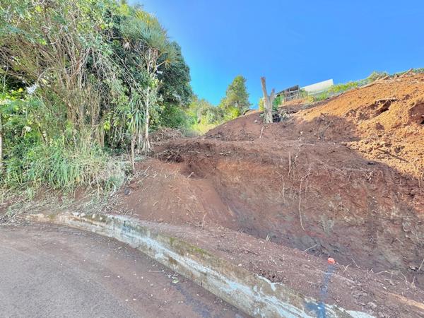 Dpt La Réunion (974), à vendre ENTRE DEUX - Terrain de 482m2