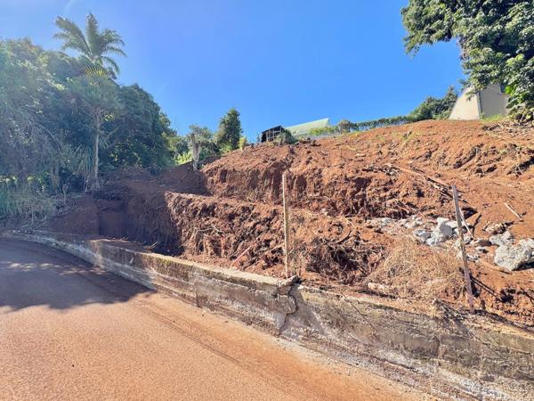 Dpt La Réunion (974), à vendre ENTRE DEUX - Terrain de 482m2