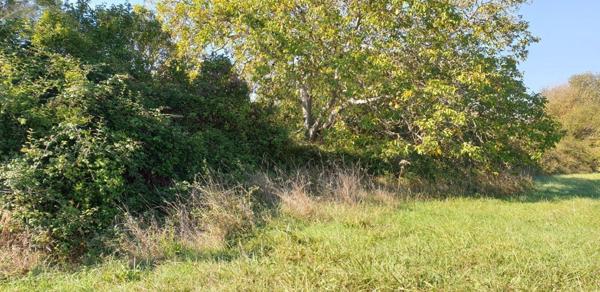 Terrain à Batir à vendre à Noyen-sur-Sarthe dans la Sarthe (72430), ref : 72119-1455