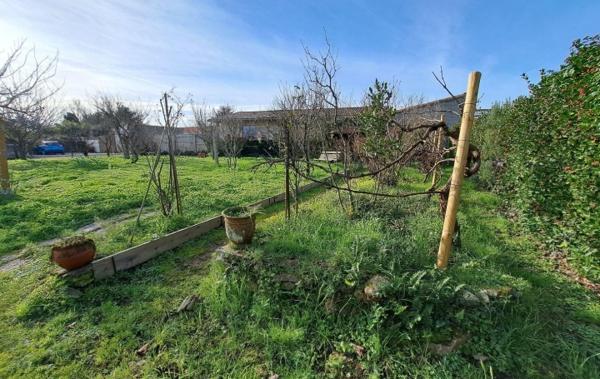 Vente Maison commerces à pied L'ile-d'olonne   
