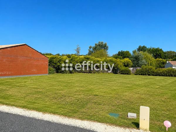 Terrain
        
        - 424 m² 81 000 € *