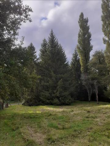 Terrain à vendre |  Saint-Priest-la-Marche |  5735 m²