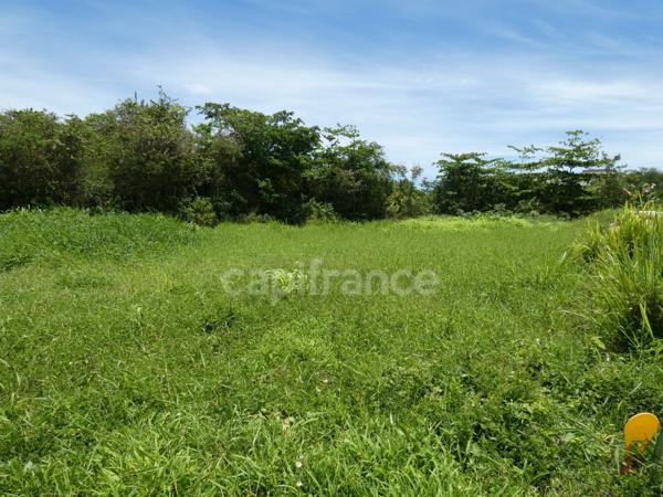 Terrain à vendre  de 1811 m² sur LE MOULE (971)