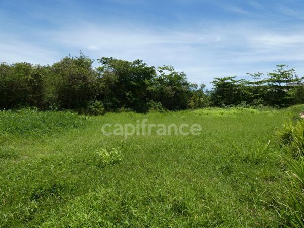 Terrain à vendre  de 1811 m² sur LE MOULE (971)