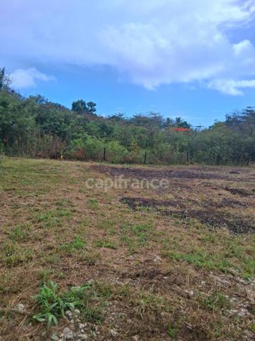 Terrain à vendre  de 1811 m² sur LE MOULE (971)