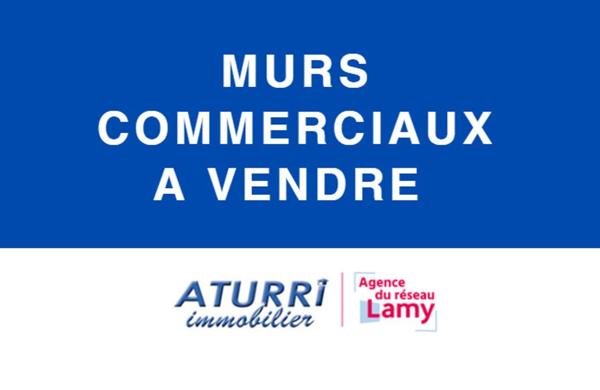 Local commercial ou professionnel