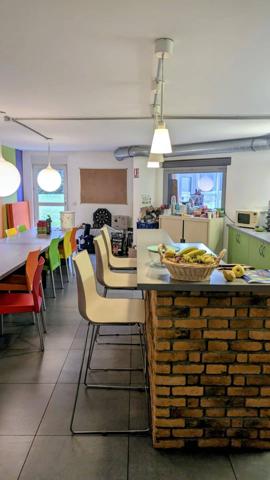 Locaux professionnels avec terrain situé à 67150 Nordhouse, dans le Grand Ried du prestigieux bassin d'Alsace.