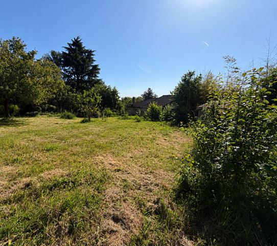 TERRAIN CONSTRUCTIBLE Linas 484 m2