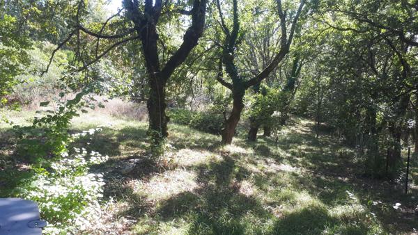 Vaste maison dans un secteur prisé à 10 minutes de Cahors Cahors (46000)