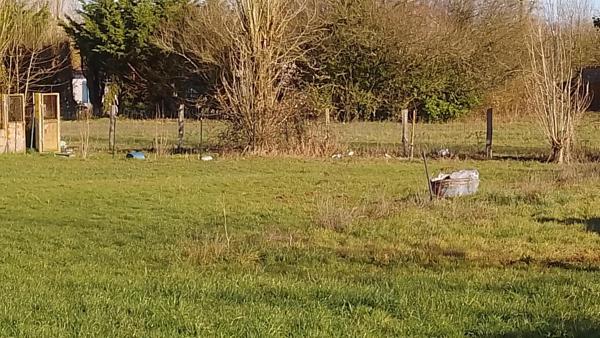 Terrain à NUEIL-LES-AUBIERS, 79250 - 1291m²