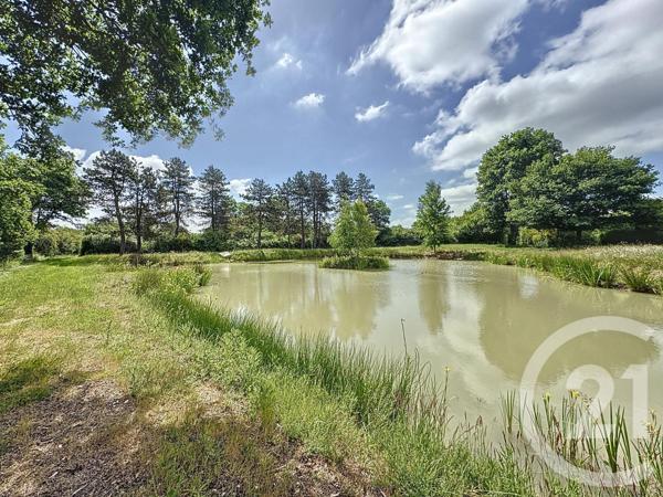 Maison à vendre  6 pièces - 140,95 m2 LA FERTE ST AUBIN - 45