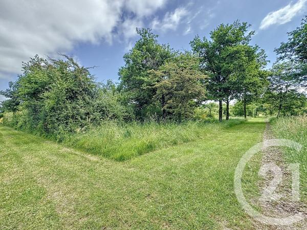 Maison à vendre  6 pièces - 140,95 m2 LA FERTE ST AUBIN - 45