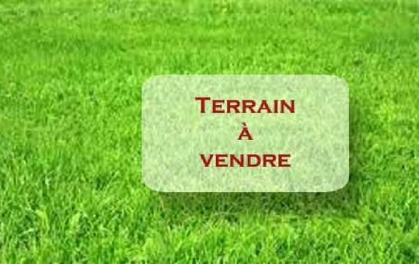 Vente Terrain Plessis-saint-jean   
