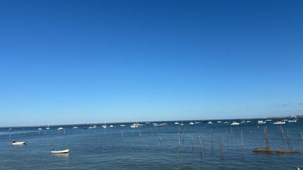Cap Ferret - L'Herbe