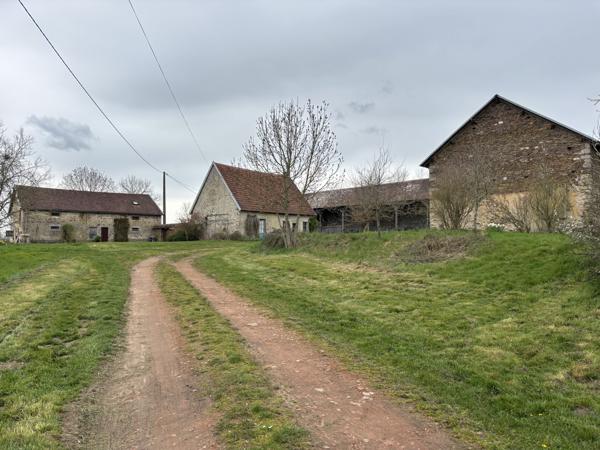 VENDU - Préveranges - Domaine unique avec un ruisseau et des possibilités infinies Préveranges (18370)