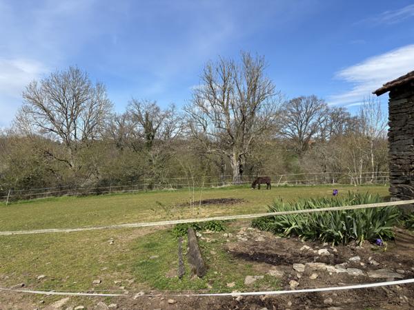 VENDU - Préveranges - Domaine unique avec un ruisseau et des possibilités infinies Préveranges (18370)