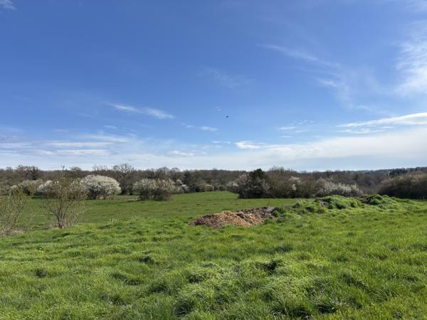 VENDU - Préveranges - Domaine unique avec un ruisseau et des possibilités infinies Préveranges (18370)