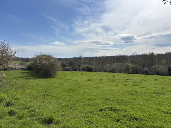 VENDU - Préveranges - Domaine unique avec un ruisseau et des possibilités infinies Préveranges (18370)