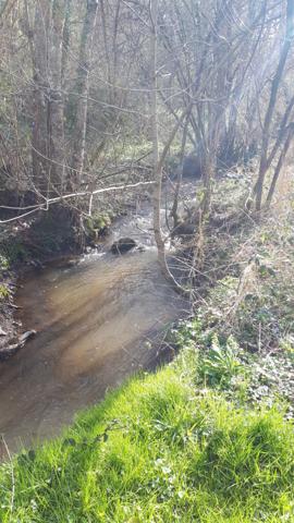 VENDU - Préveranges - Domaine unique avec un ruisseau et des possibilités infinies Préveranges (18370)