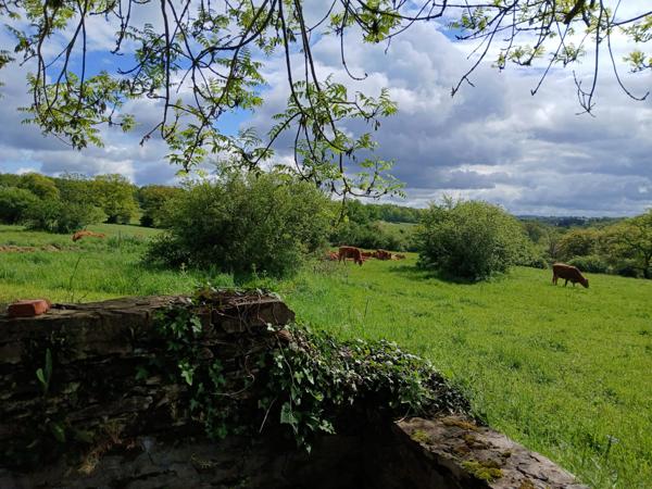 VENDU - Préveranges - Domaine unique avec un ruisseau et des possibilités infinies Préveranges (18370)