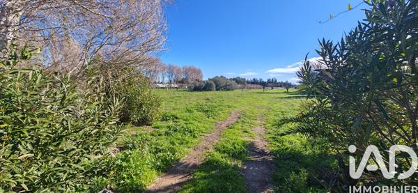 Terrain à vendre 6 953 m² Villelongue-de-la-Salanque