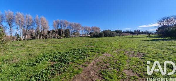 Terrain à vendre 6 953 m² Villelongue-de-la-Salanque