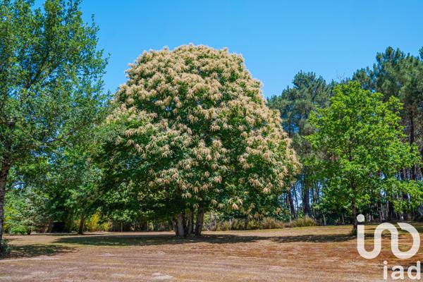 Maison à vendre 9 pièces 182 m² Guécélard