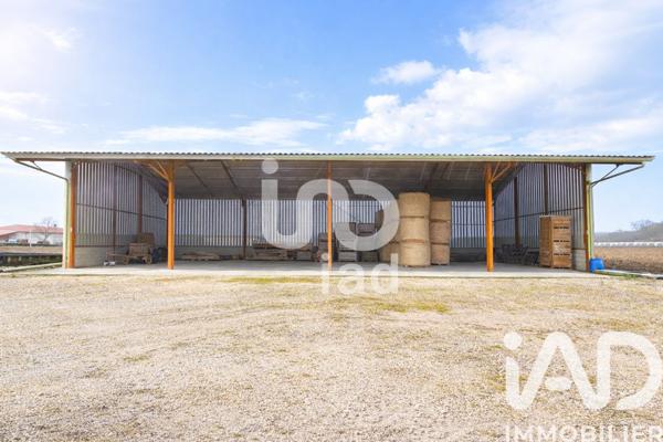 Terrain à vendre 1 245 m² Lafrançaise