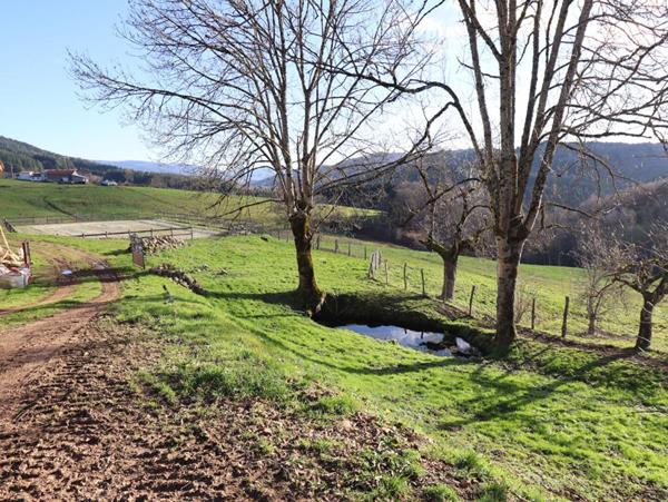 Corps de ferme 6 pièce(s) 350 m2 environ + terrain 27ha avec sources + dépendances