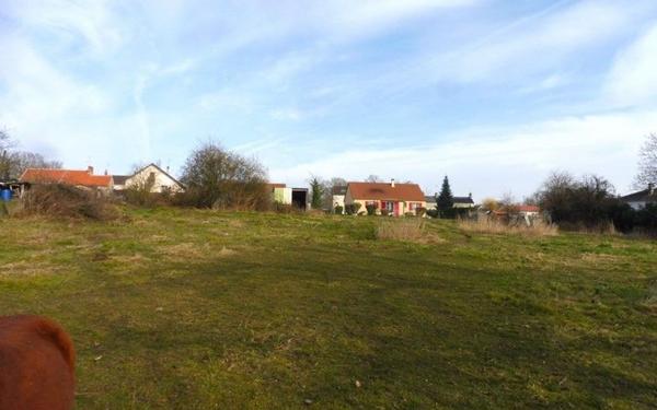 Terrain à vendre    Saint-Léger-des-Vignes