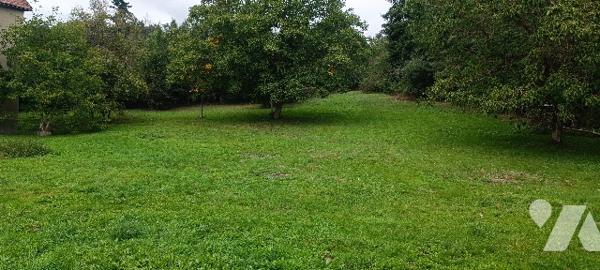 Lorrez-Le-Bocage, idéal Promoteur, beau terrain constructible de 13 273 m² possibilité 3 à 4 lots.