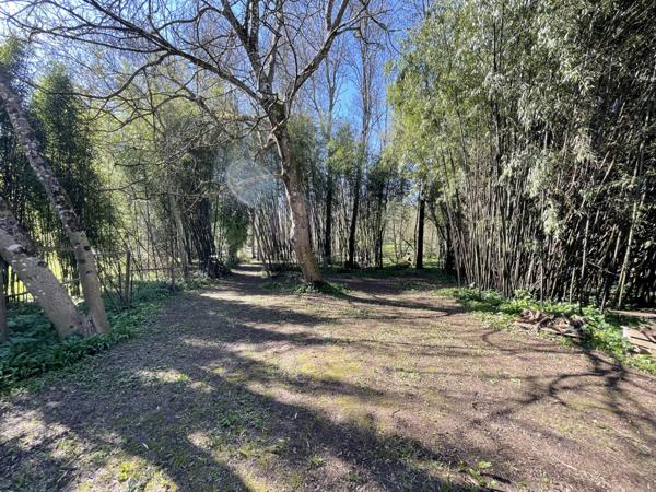 Lake views, private park setting and river access – Peaceful countryside home with 3 bedrooms near Melle