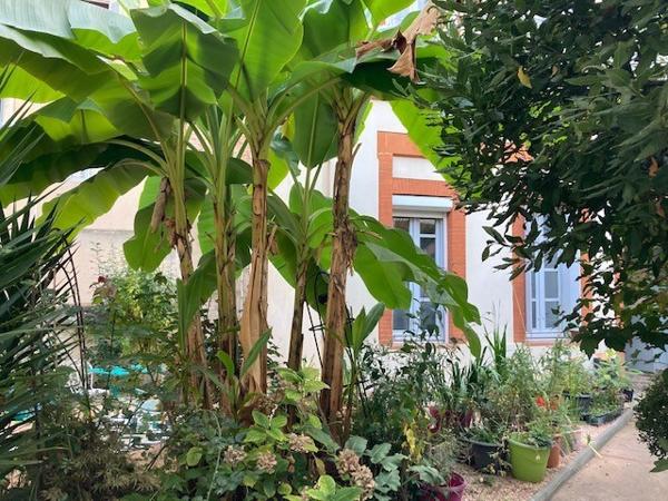 T1 Bis Quartier François Verdier" & la Place Dupuy