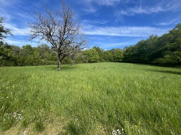 Terrain à vendre 66 780 € Sarrazac 4426 m² DPE