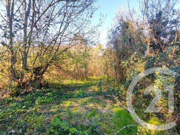 Maison à vendre  4 pièces - 80 m2 COLMERY - 58