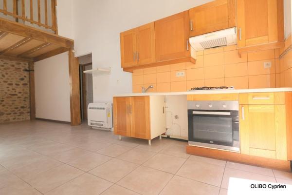 Vente / Maison à Villeneuve-la-Rivière (66610)