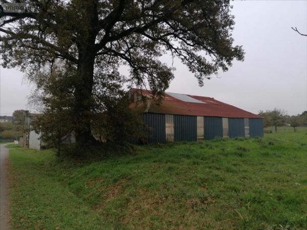 Maison à vendre à Bains-sur-Oust en Ille-et-Vilaine (35600), ref : 1006804