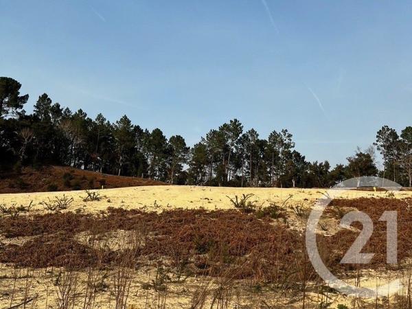 Terrain à vendre  645 m2 LABENNE - 40