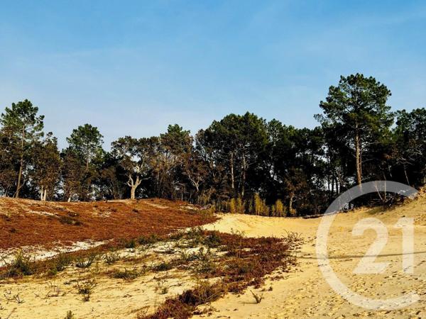 Terrain à vendre  645 m2 LABENNE - 40