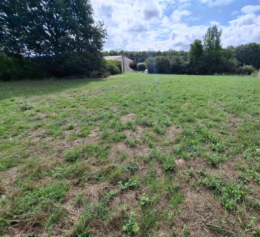 Terrain constructible plat - 970m²