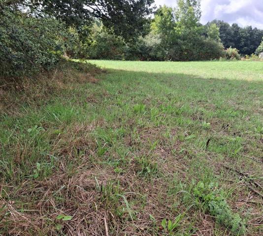 Terrain constructible plat - 970m²