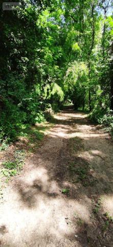 Propriete à vendre à Marmagne dans le Cher (18500), ref : 142419M